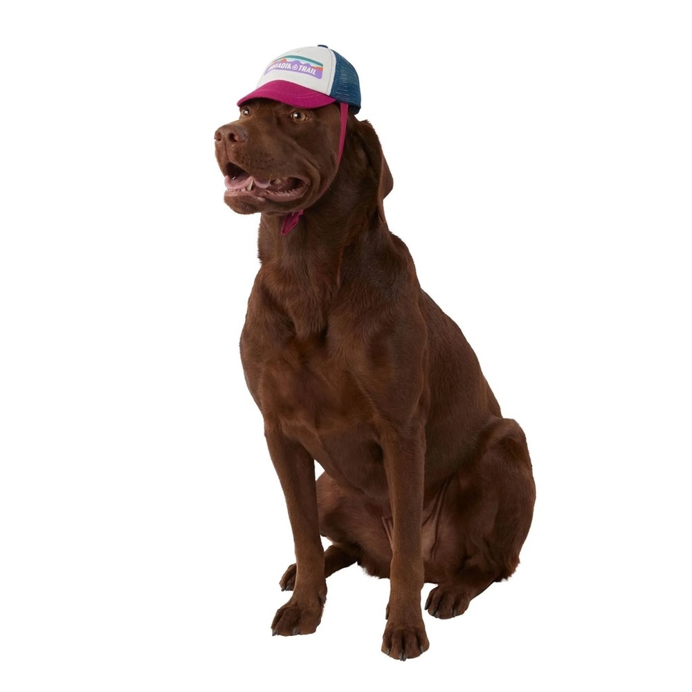 Arcadia Trail™ Life's Logo Dog Cap Baseball Hat for Pets